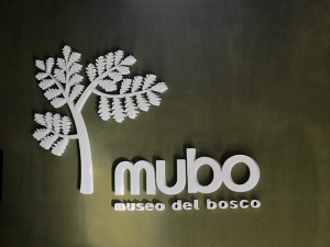Logo Mubo